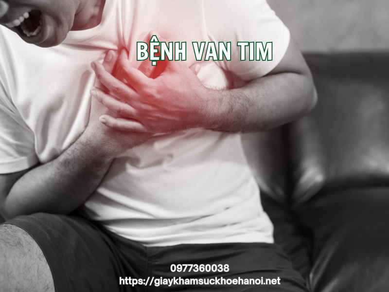 Top 6 bệnh tim mạch phổ biến và dấu hiệu cảnh báo sớm