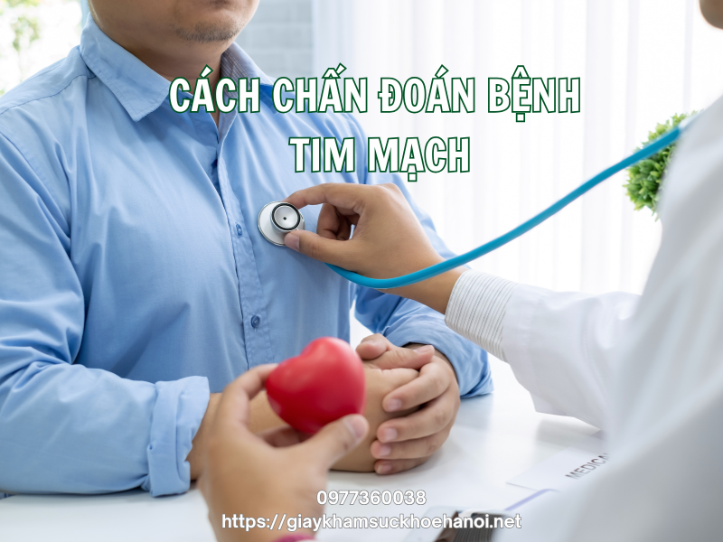 Top 6 bệnh tim mạch phổ biến và dấu hiệu cảnh báo sớm