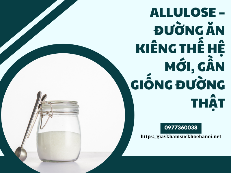 Review 5 loại đường ăn kiêng đáng thử nhất năm 2025