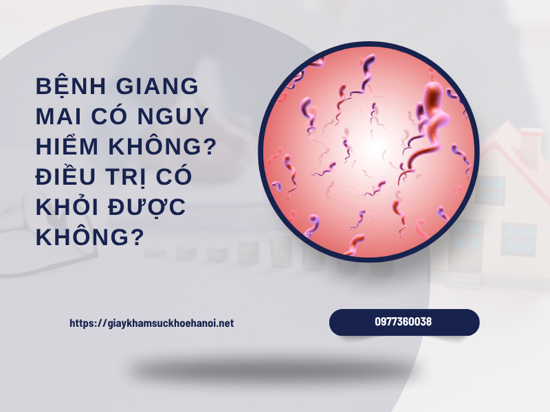 Bệnh giang mai có nguy hiểm không? Điều trị có khỏi được không?