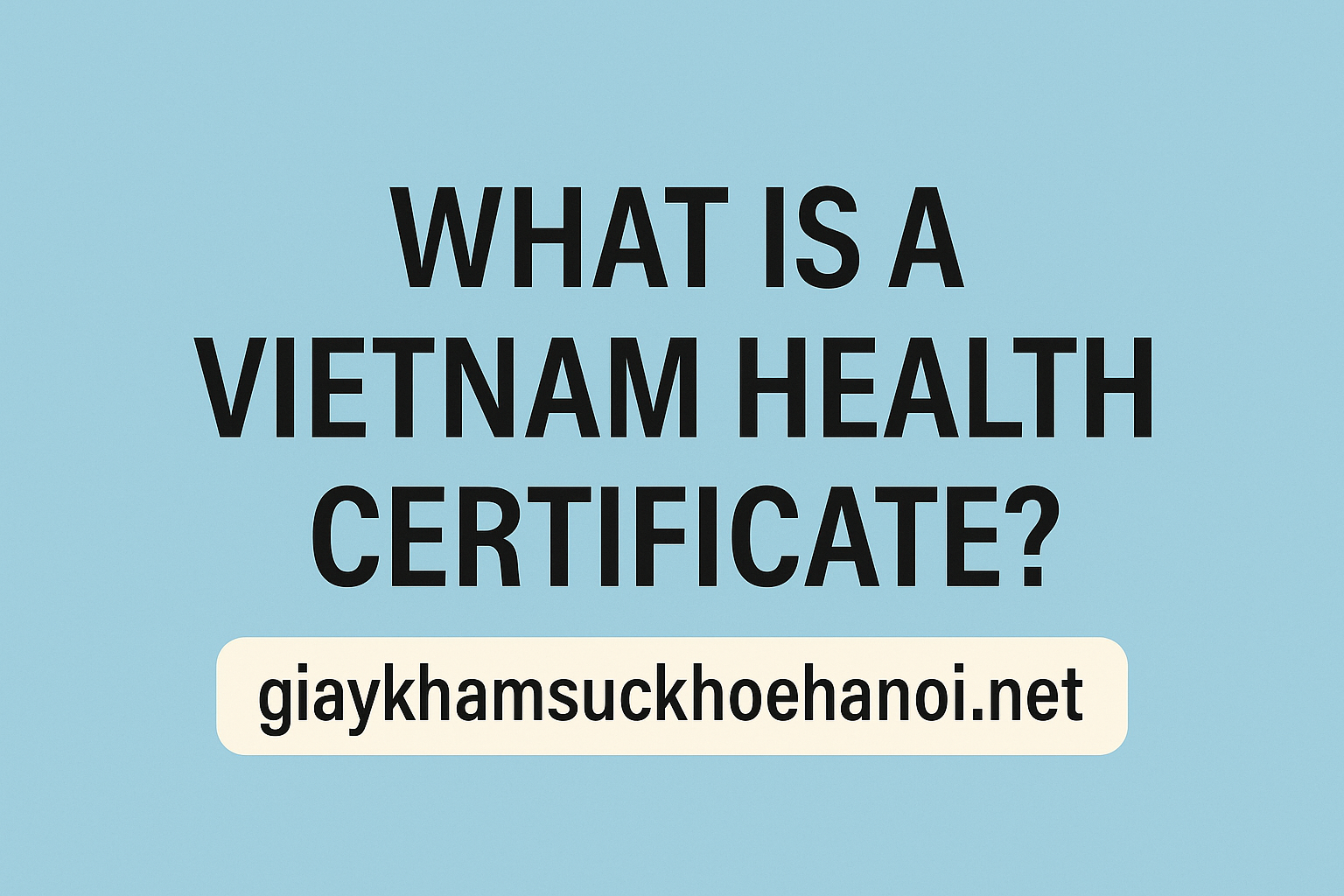 What is a Vietnam health certificate